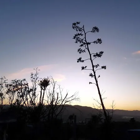 Pechina, Cortijo Con Aparcamiento Incluido, Tranquilidad Y Espacio - Alborania *